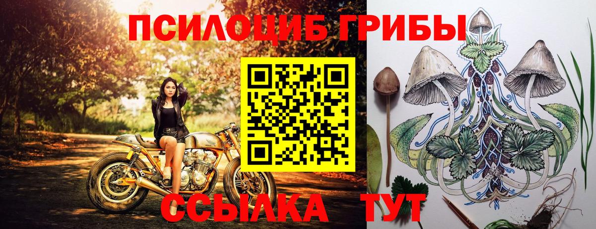 Галлюциногенные грибы MAGIC MUSHROOMS Будённовск