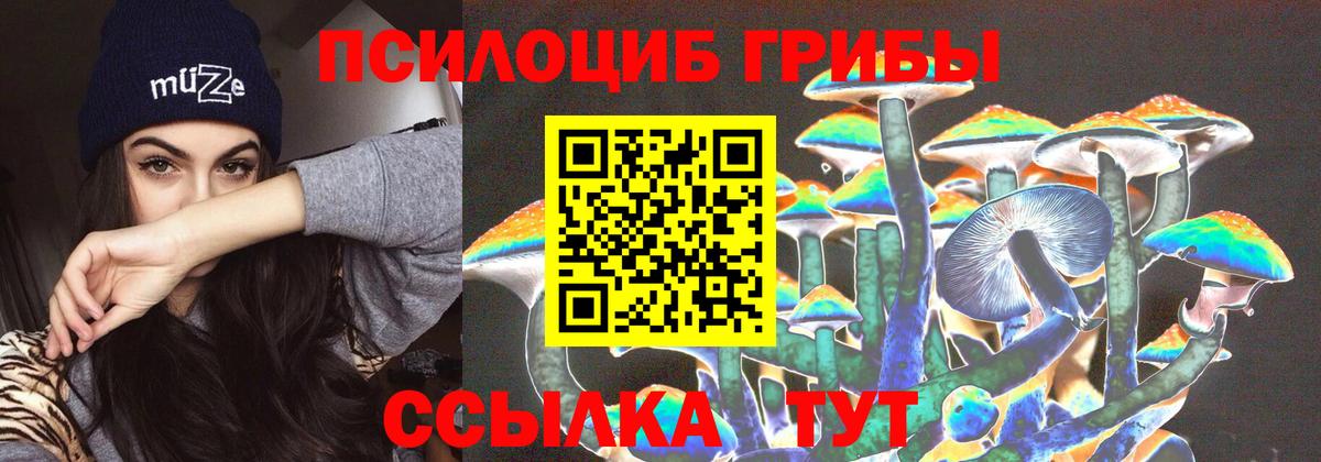 Псилоцибиновые грибы Psilocybe  Псилоцибиновые грибы Cubensis  Будённовск  Вход с VPN 